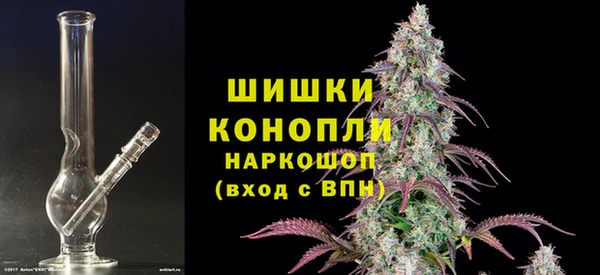 прущие грибы Богородск