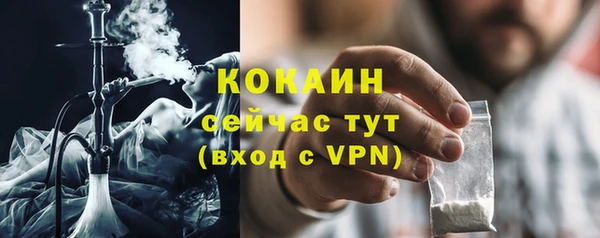 сатива Богородицк