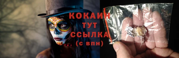 дмт Новодвинск