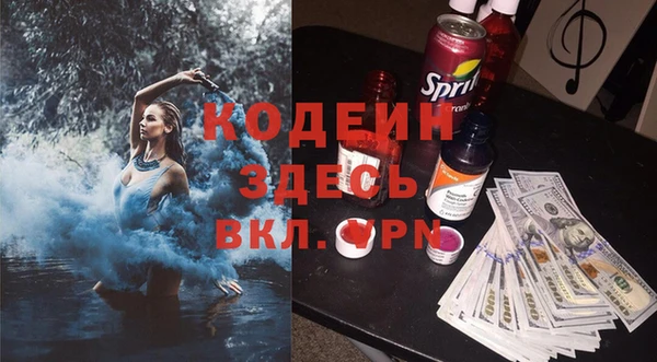 твердый Протвино