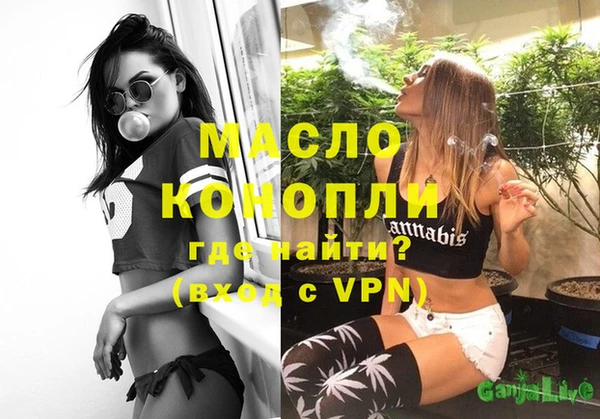 дмт Новодвинск