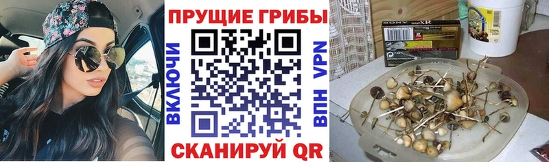 Галлюциногенные грибы GOLDEN TEACHER Чусовой