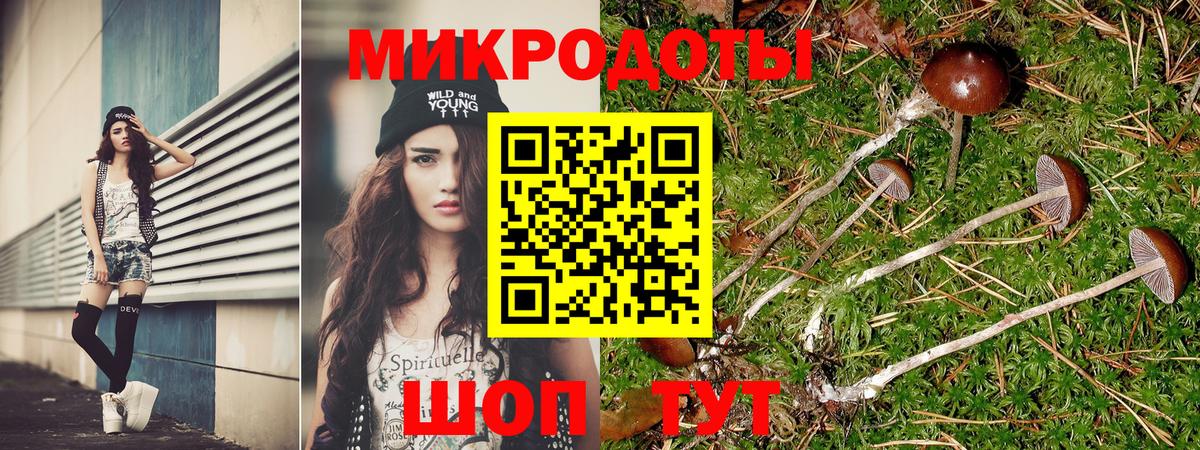 Псилоцибиновые грибы GOLDEN TEACHER  Вход с VPN  Чусовой  Галлюциногенные грибы MAGIC MUSHROOMS 