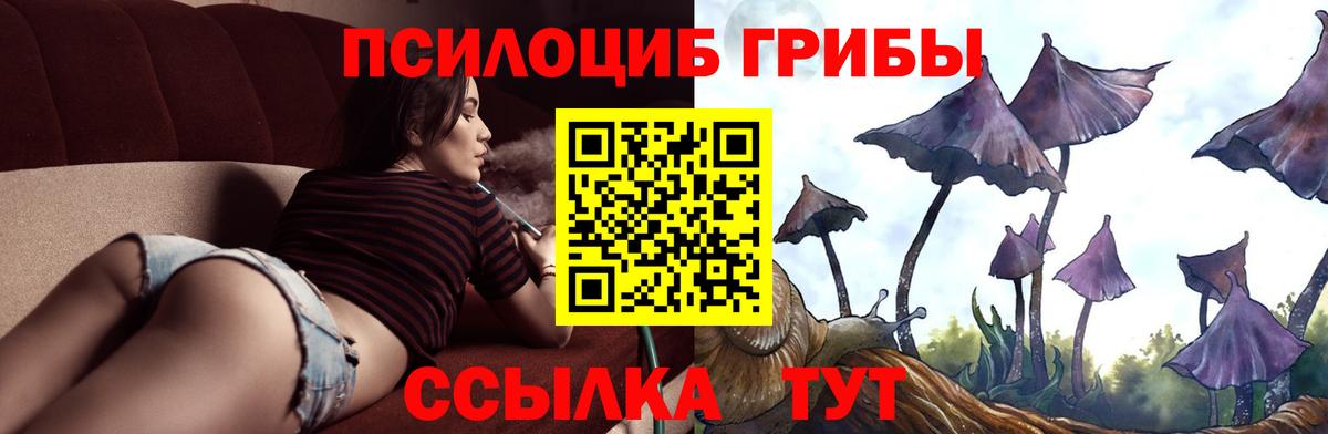 Псилоцибиновые грибы GOLDEN TEACHER Чусовой