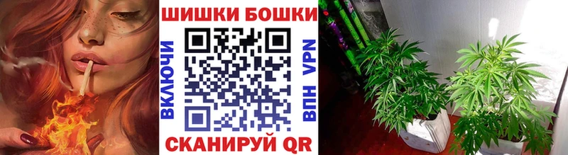 Бошки марихуана AK-47  где продают наркотики  Чусовой 